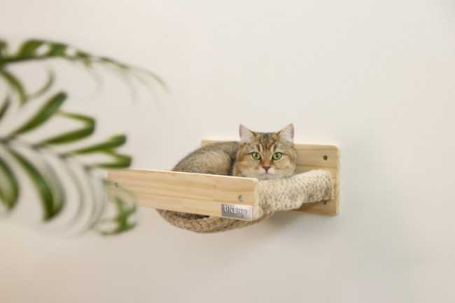 Kletterwand Timber S - Wandhängematte, Katzenleiter und Kratzsäule zur Wandmontage bis 4,5 kg belastbar, Echtholz